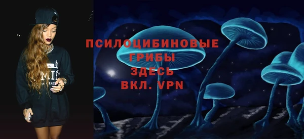 ПСИЛОЦИБИНОВЫЕ ГРИБЫ Верхнеуральск