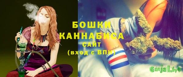 ПСИЛОЦИБИНОВЫЕ ГРИБЫ Верхнеуральск