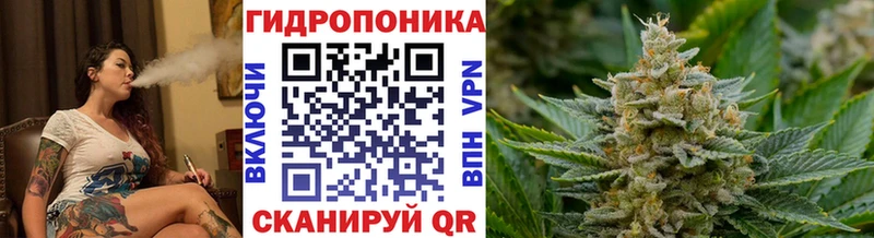 наркошоп  Рубцовск  сайты даркнета телеграм  Каннабис план 